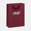 Christmas Paper Bag
